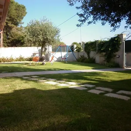Gli Ulivi *