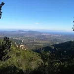 Gli Ulivi *