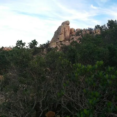 Gli Ulivi *