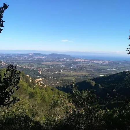 Gli Ulivi *