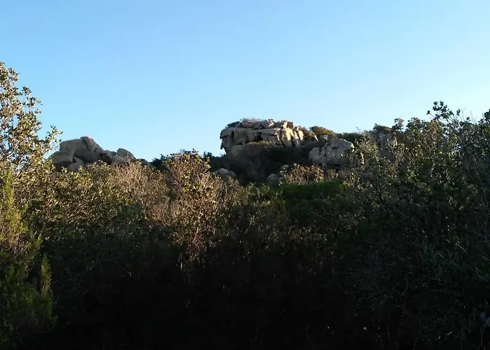 Tatil Evi Gli Ulivi *